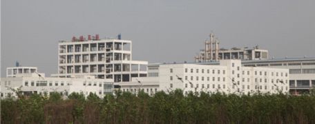 W020241121370132046574