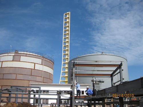 W020241121369694648242