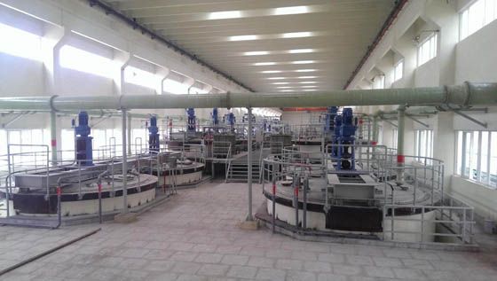 W020241121368850269128