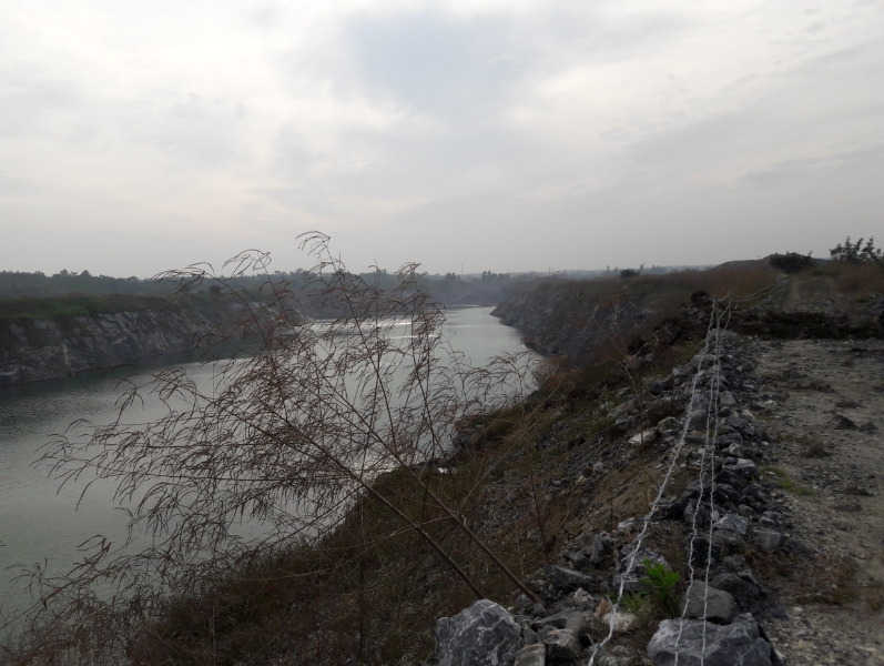 W020241119527185925615