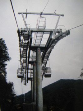 W020241119528340716560