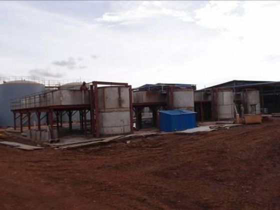 W020241119525561251134